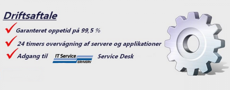 IT Service Erhverv 